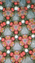 Glass Teleidoscope