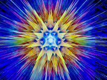 Disco Dandelion