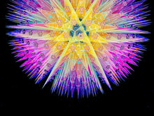 Disco Dandelion