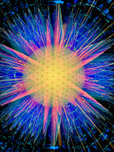 Disco Dandelion