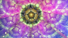Chameleon Teleidoscope