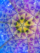 Chameleon Teleidoscope
