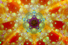 Chameleon Teleidoscope