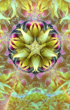 Chameleon Teleidoscope