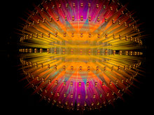Disco Dandelion