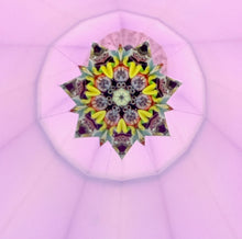 StarGazer