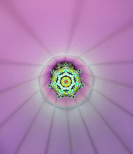 StarGazer