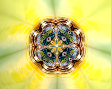 Translucent Teleidoscope