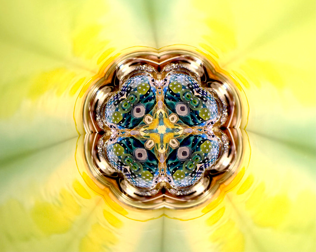 Translucent Teleidoscope
