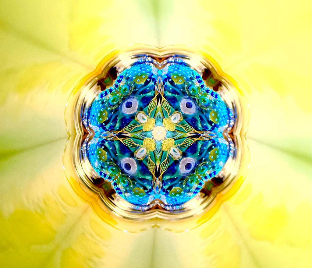 Reflect Translucent Translucent Teleidoscope – On Reflection